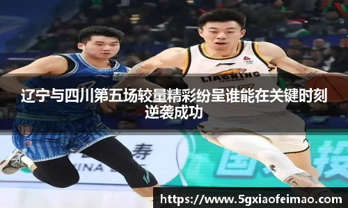 辽宁与四川第五场较量精彩纷呈谁能在关键时刻逆袭成功